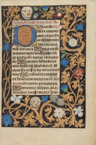 Decorated Initial D by Unbekannt Unbekannt